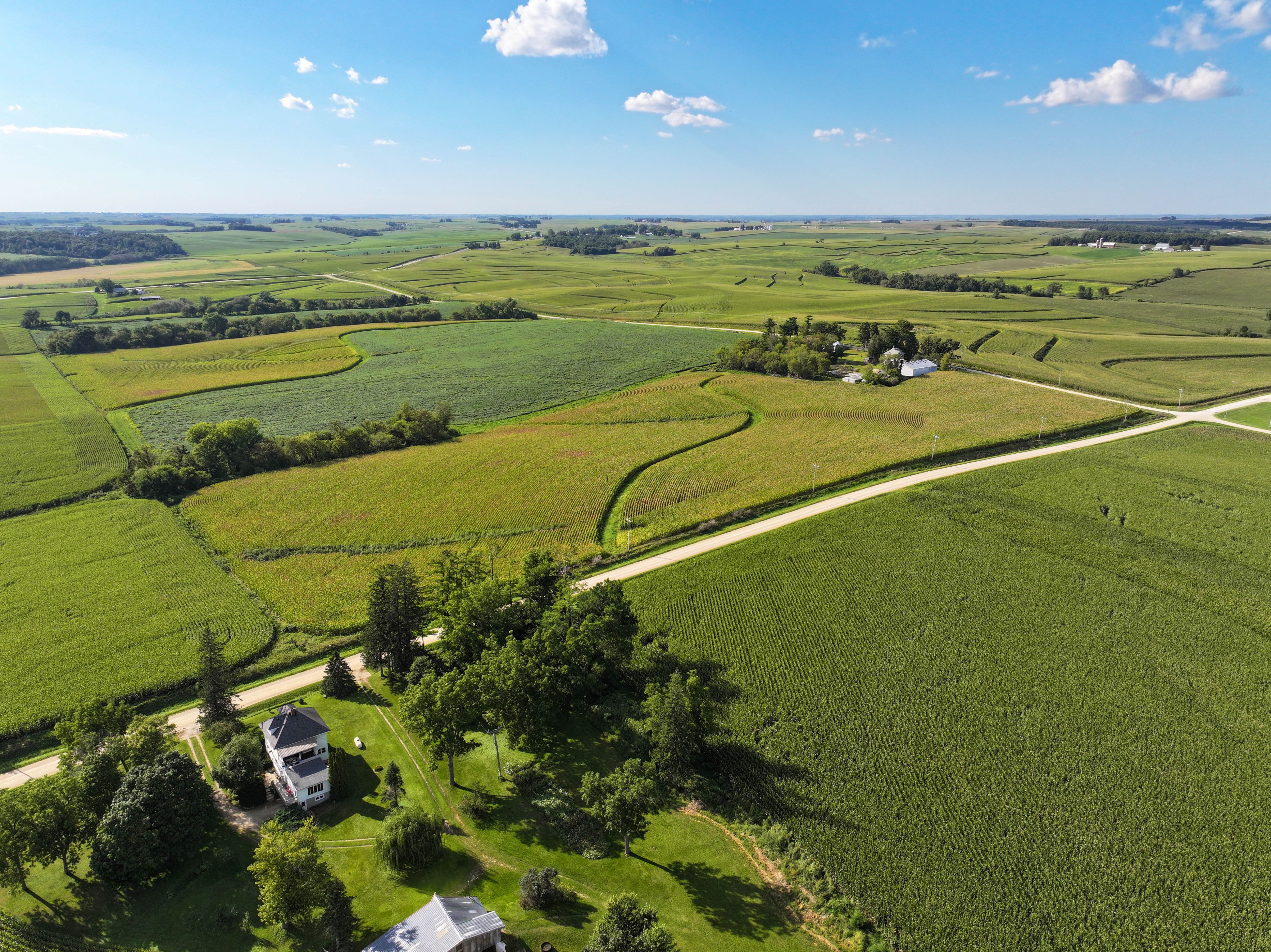 Listing Photo: 8-Allamakee County Iowa Land Auction